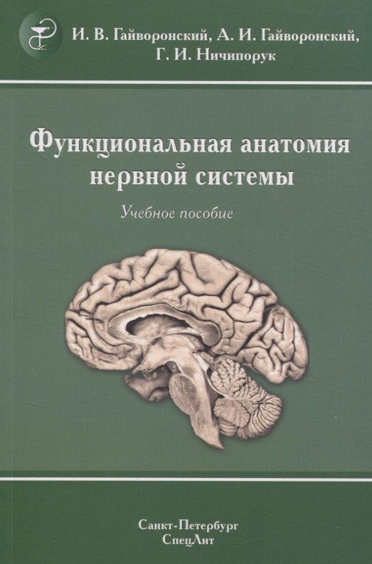 Функциональная анатомия нервной системы. Учебное пособие