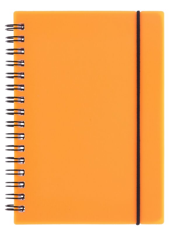 Тетрадь 80 листов, клетка, "Favorite Color. Neon Orange" спираль