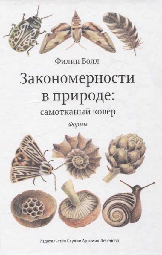 Закономерности в природе: самотканный ковер (в трех частях). Формы