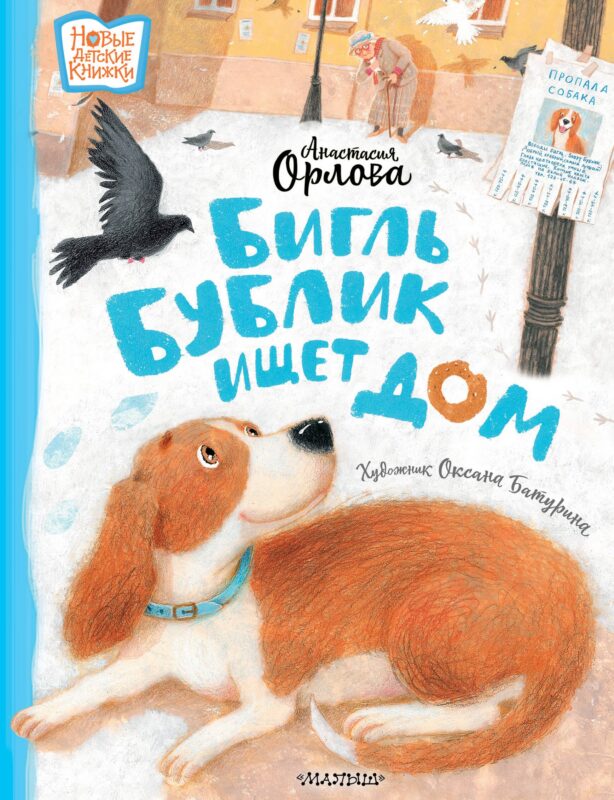 Бигль Бублик ищет дом