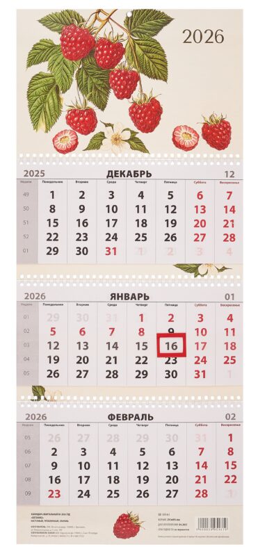Календарь квартальный 2026г 297*695 "Ботаника" настенный, трёхблочный, спираль