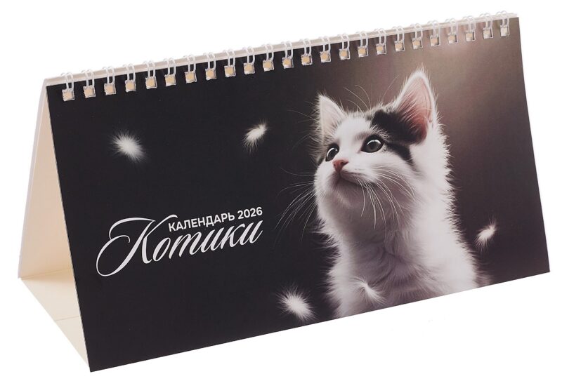 Календарь 2026г 210*120 "Котики" настольный, домик