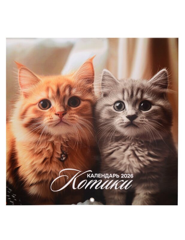 Календарь 2026г 290*290 "Котики" настенный, на скрепке