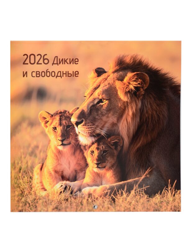 Календарь 2026г 290*290 "Дикие и свободные" настенный, на скрепке