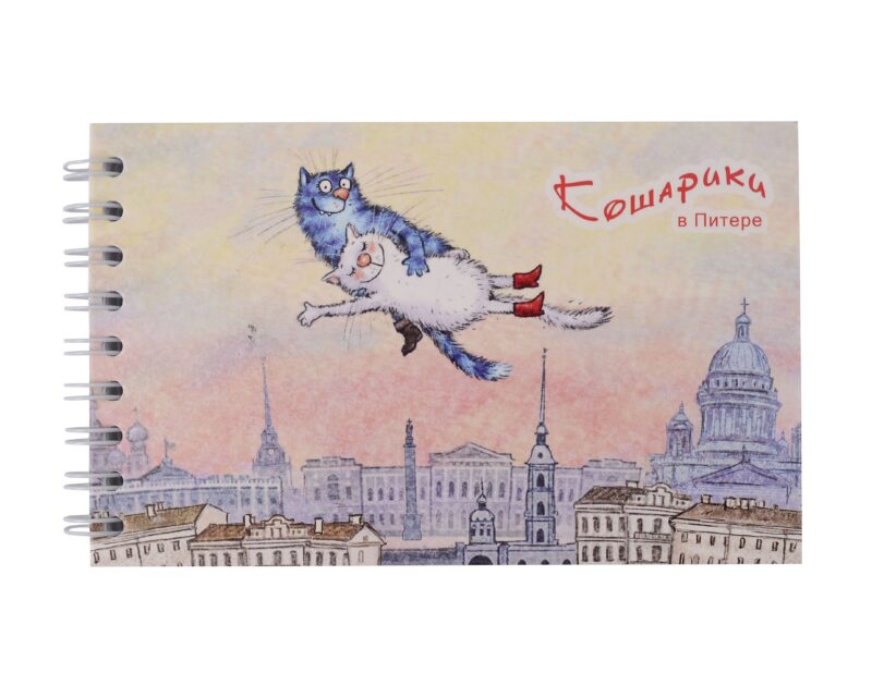 Блокнот А6 60л СПб "Кошарики в Питере. Полет" спираль