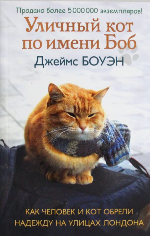 Уличный кот по имени Боб