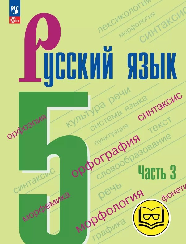 Русский язык. 5 класс. Учебное пособие. В пяти частях. Часть 3 (для слабовидящих обучающихся). ФГОС 2021