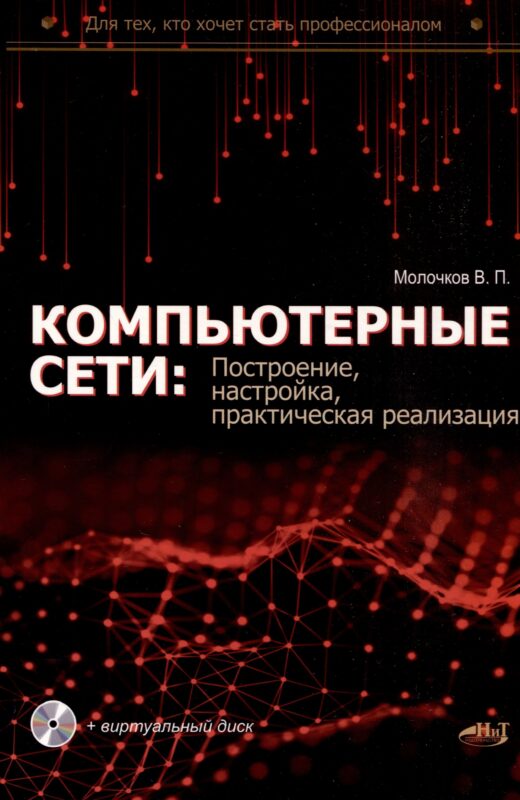 Компьютерные сети: построение, настройка, практическая реализация + виртуальный диск