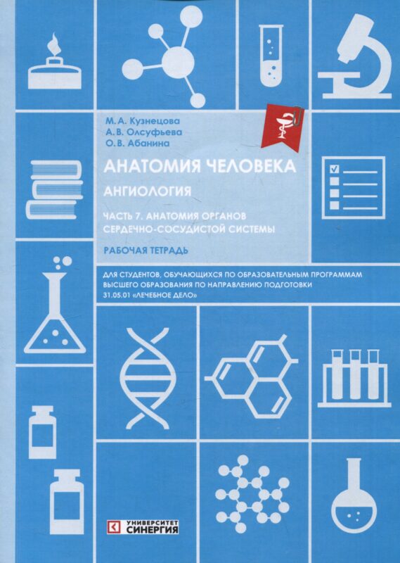 Анатомия человека: Ангиология: Часть 7. Анатомия органов сердечно-сосудистой системы. Рабочая тетрадь