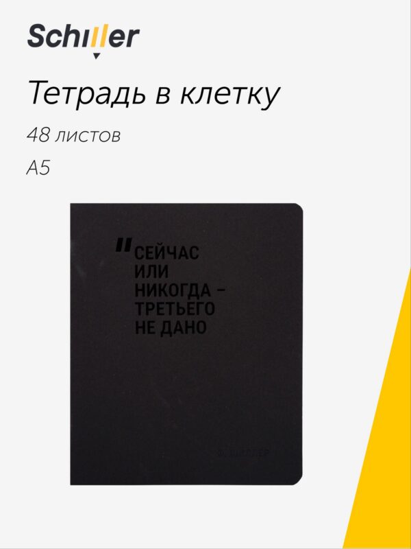 Тетрадь 48л кл. "Сейчас или никогда-третьего не дано" дизайн.тонир. картон, Schiller