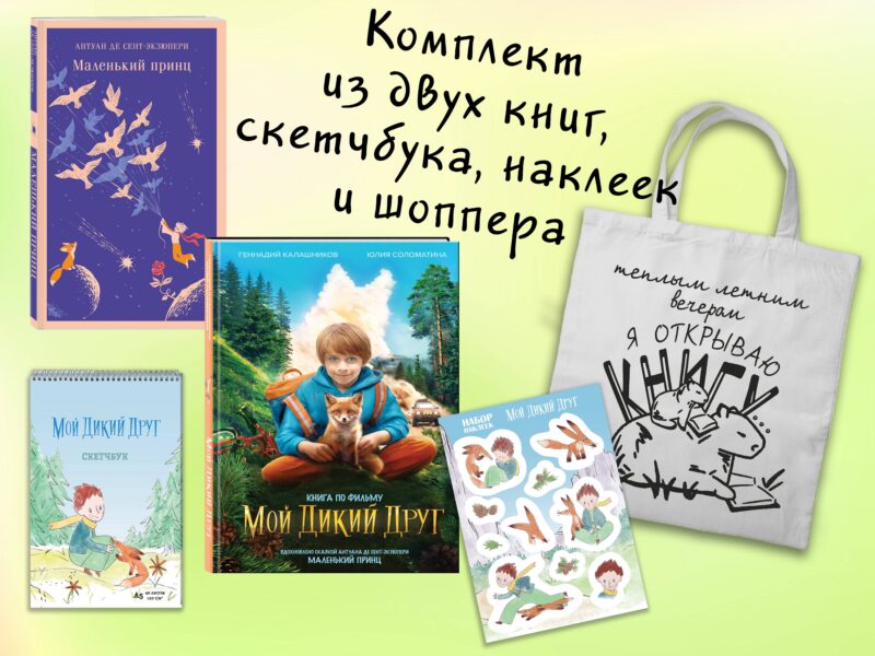 Набор "Мой дикий друг" (набор из книги, наклеек, скетчбука с шоппером)