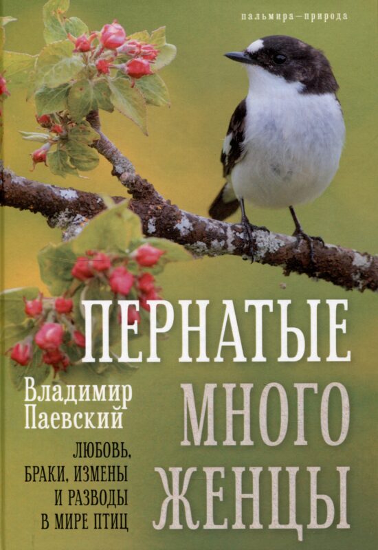 Пернатые многоженцы: Любовь, браки, измены и разводы в мире птиц