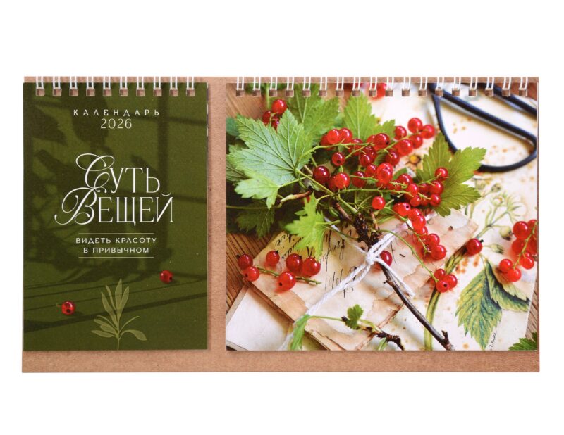Календарь 2026г 216*147 "Суть Вещей" настольный, домик