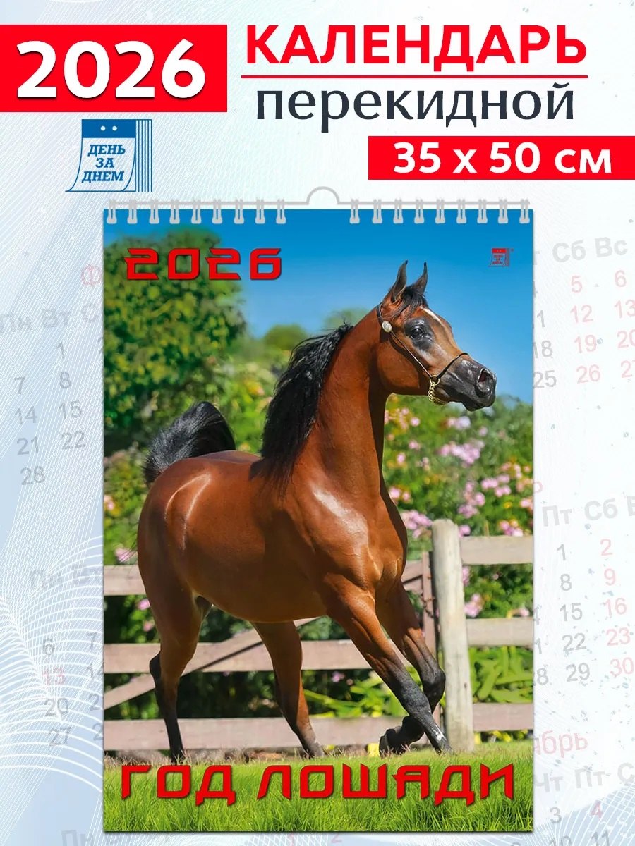 Календарь 2026г 350*500 «Год лошади» настенный, на спирали