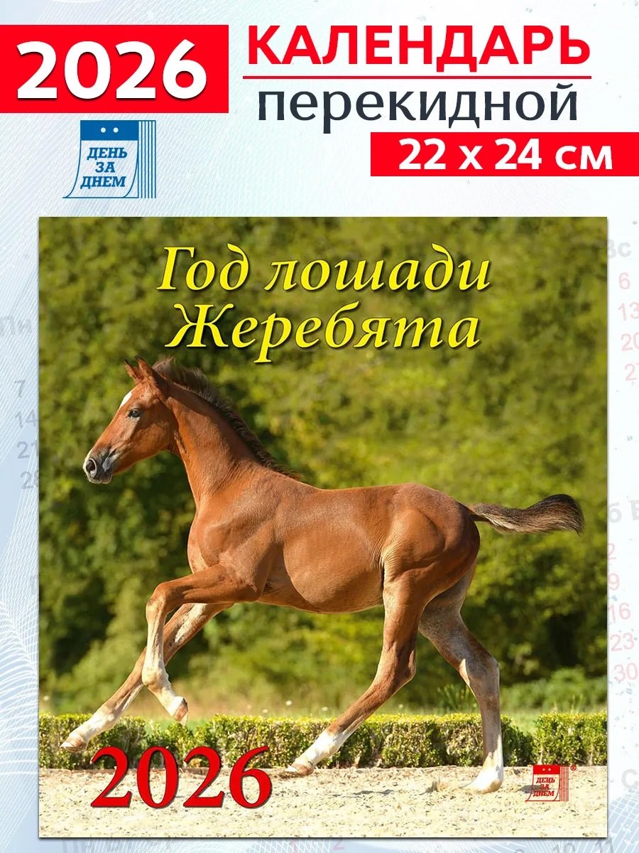 Календарь 2026г 220*240 «Год лошади.Жеребята» настенный, на скрепке