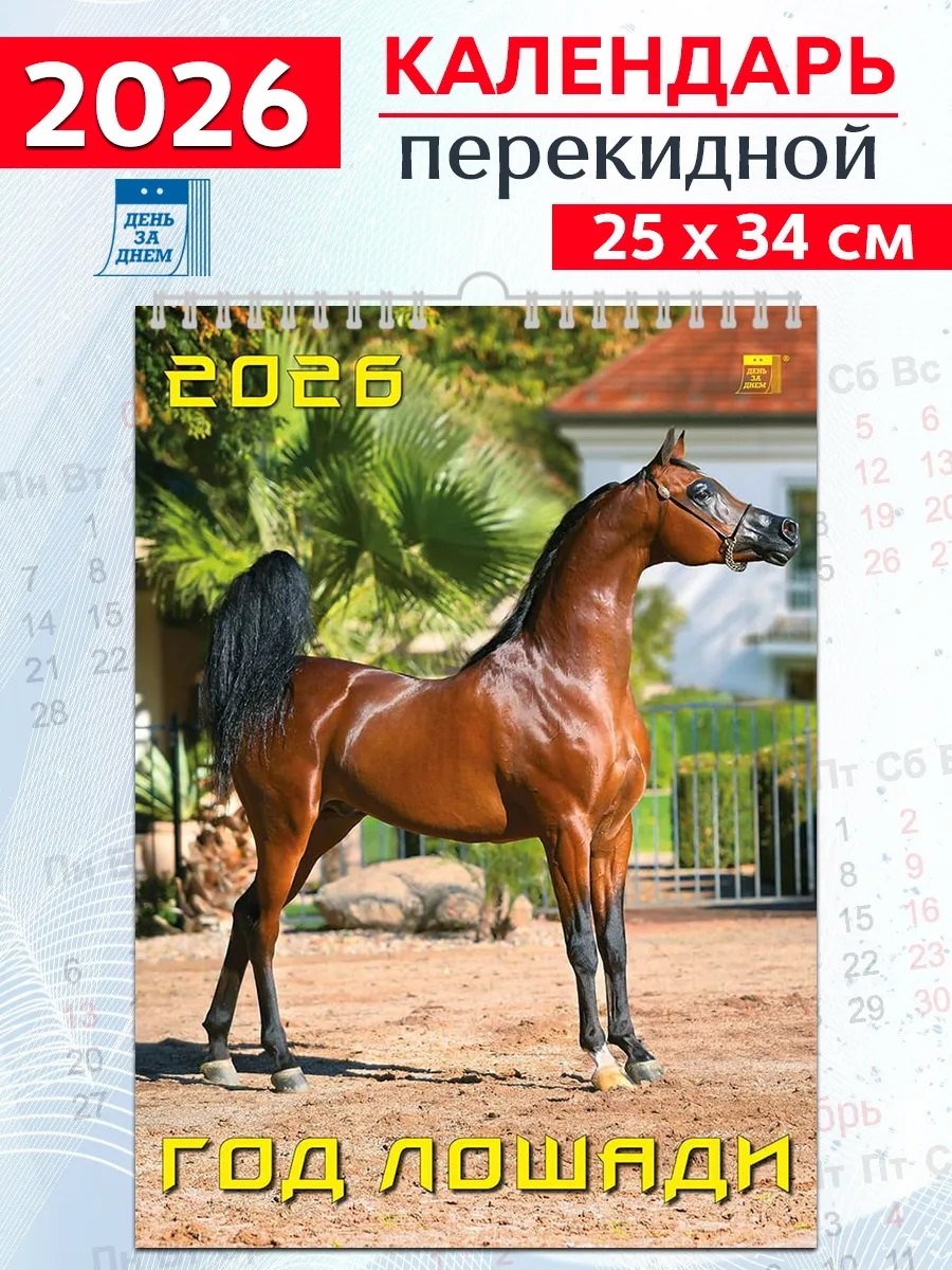 Календарь 2026г 250*345 «Год лошади» настенный, на спирали