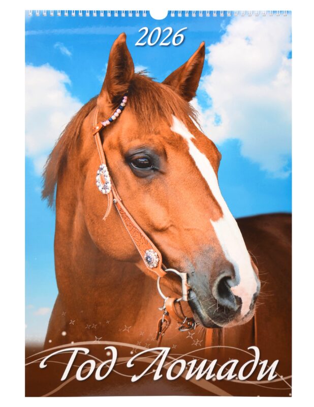 Календарь 2026г 320*480 "Год Лошади. Вид 2" настенный, на спирали