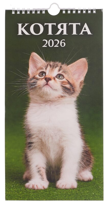 Календарь 2026г 165*335 "Котята" настенный, на спирали