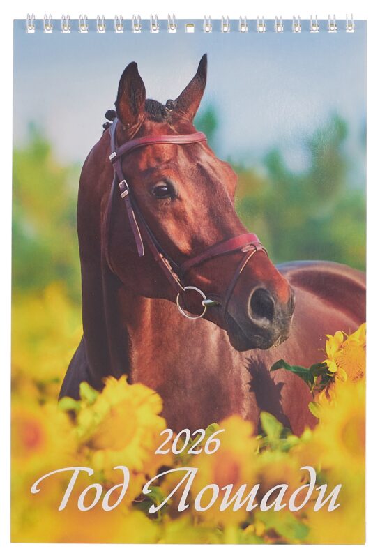 Календарь 2026г 170*250 "Год Лошади. Вид 2" настенный, на спирали