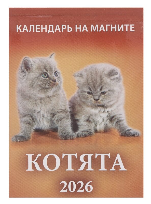 Календарь 2026г 96*135 "Котята " на магните