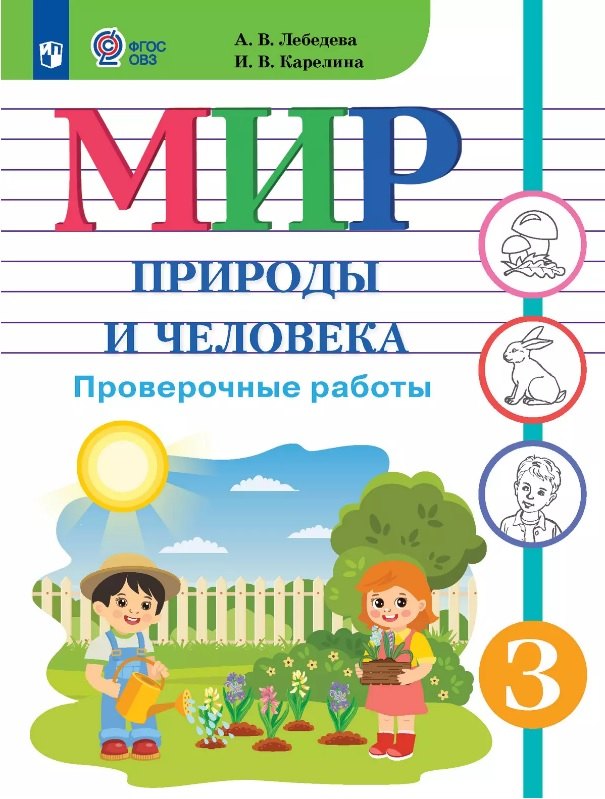 Мир природы и человека. 3 класс. Проверочные работы (для обучающихся с интеллектуальными нарушениями)
