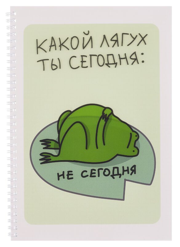 Тетрадь А4 60л кл. "Не сегодня" евроспираль, прозр.пластик с печатью, скр.углы