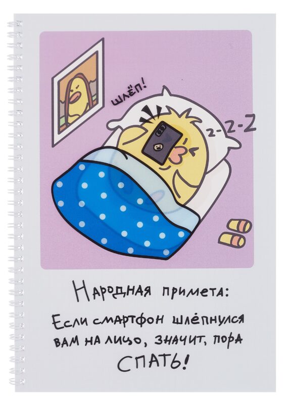 Тетрадь А4 60л кл. "Примета" евроспираль, прозр.пластик с печатью, скр.углы