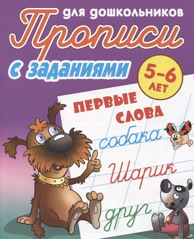 Комплект дошкольника (универсальный) № 21