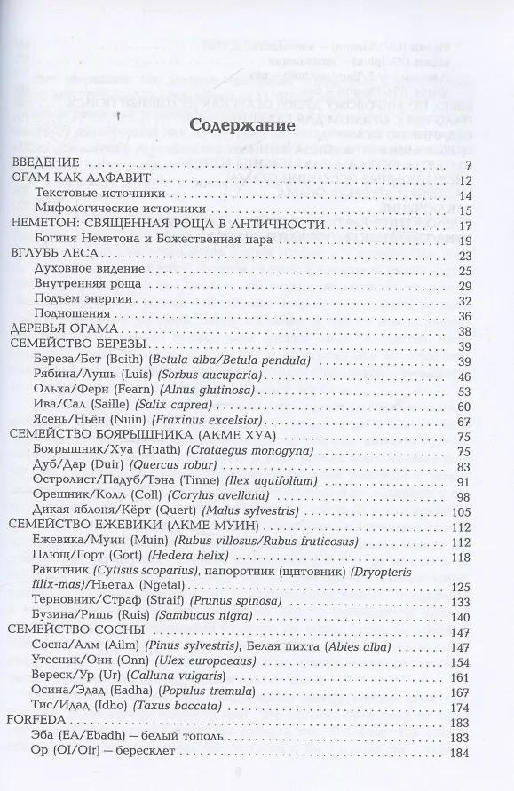 Кельтская магия деревьев: огам и мистерии друидов
