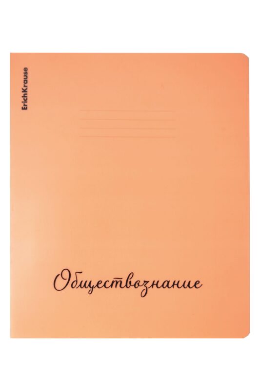 Тетрадь 48л кл. ТЕМА "Neon. Обществознание" пласт.обл., ассорти, ErichKrause