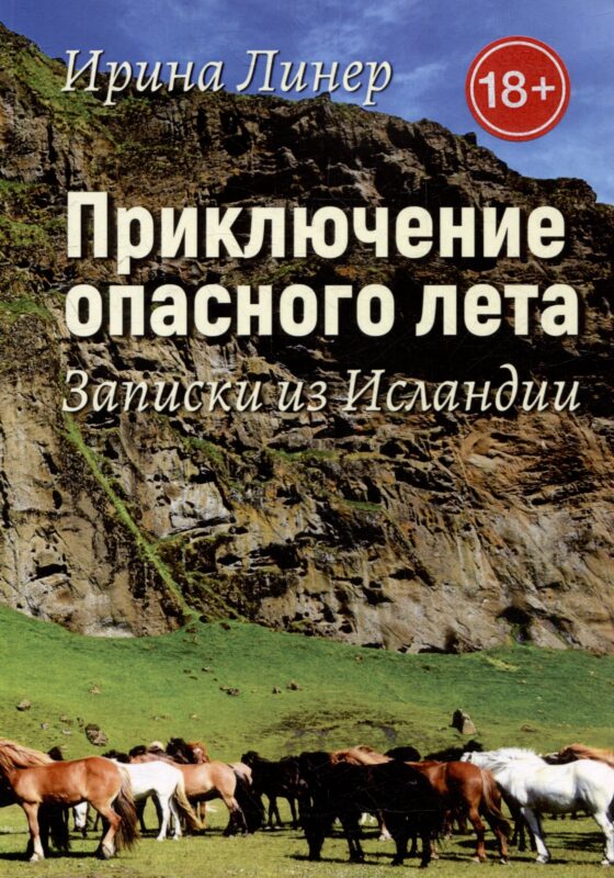 Приключение опасного лета. Записки из Исландии