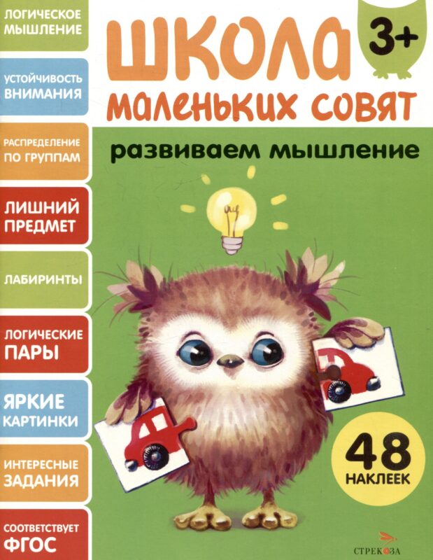 Развиваем мышление. 48 наклеек