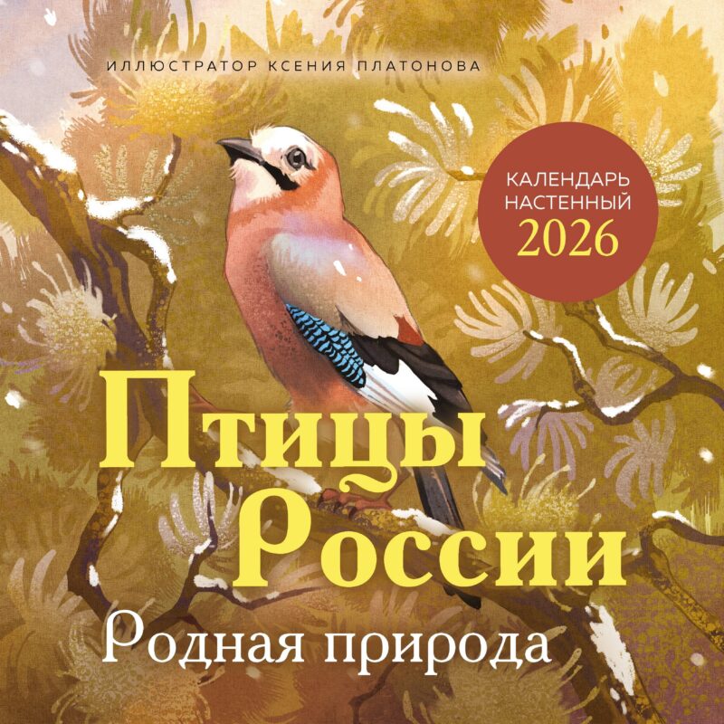 Календарь 2026г 300*300 "Птицы России. Родная природа" настенный, на скрепке