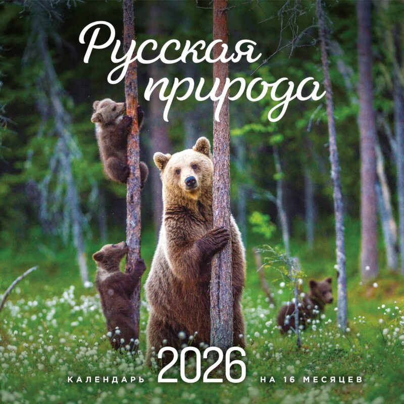 Календарь 2026г 300*300 "Русская природа" настенный, на скрепке