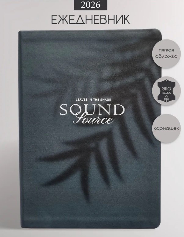 Ежедневник датированный 2026 год, А5, 176 листов, 140x200 мм "Shadow", черный