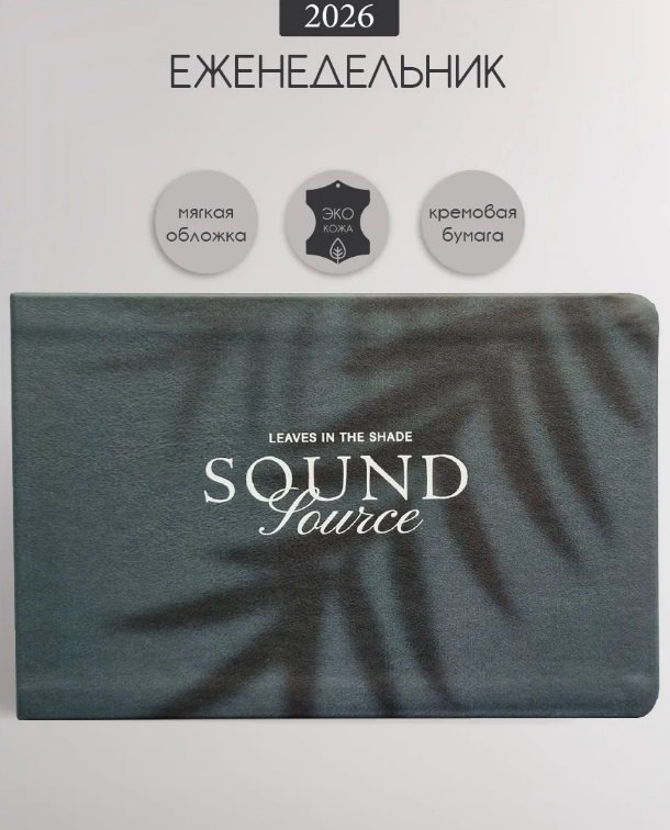 Еженедельник датированный 2026 год, А6, 64 листа, 160x105 мм "Shadow", черный