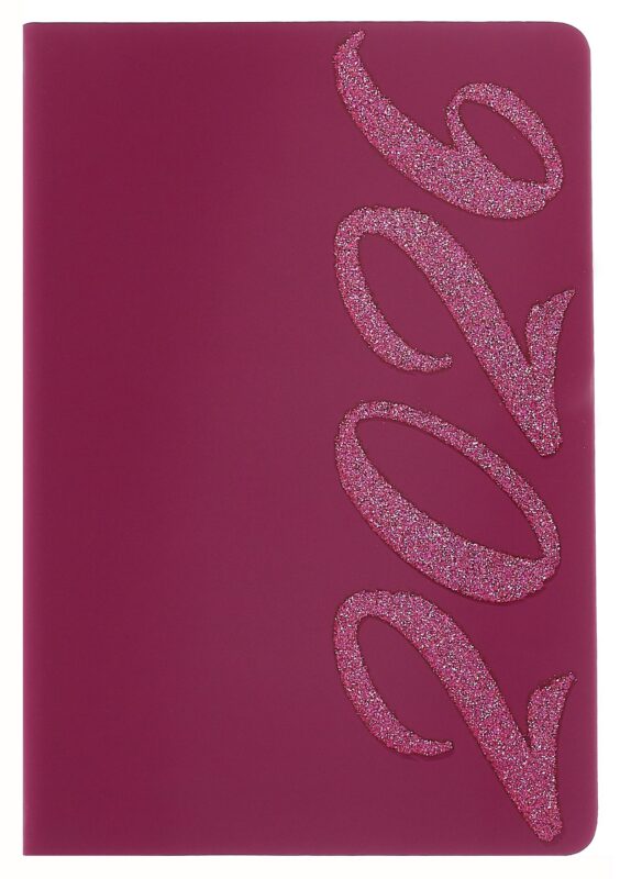 Ежедневник датированный 2026 год, А5, 176 листов, "Софт-тач", винный