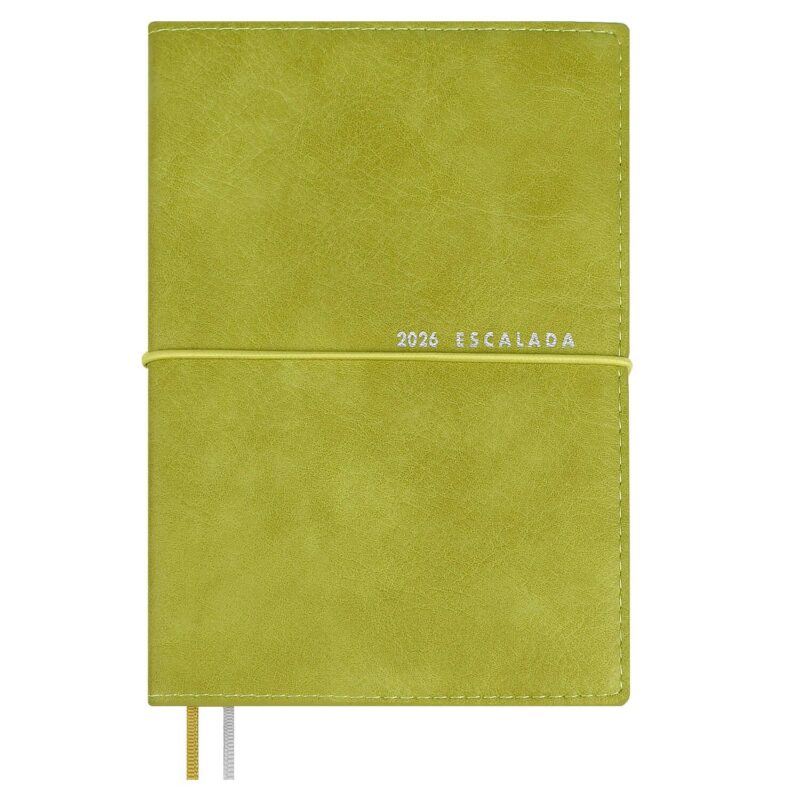 Ежедневник датированный 2026 год, А6+, 128 листов, "Шеврет", оливковый