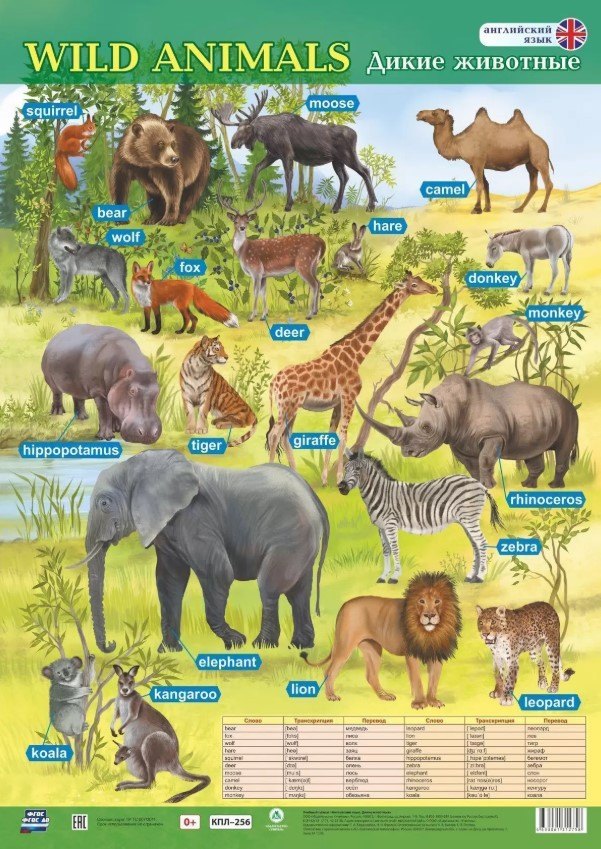 Английский язык. Wild animals/Дикие животные. Учебный плакат (Формат А2)