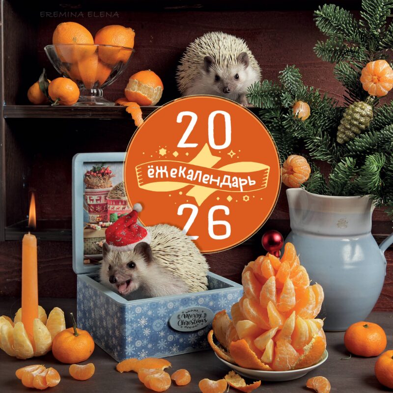 Календарь 2026г 300*300 "Ёжекалендарь. Сочные мандаринки" настенный, на скрепке