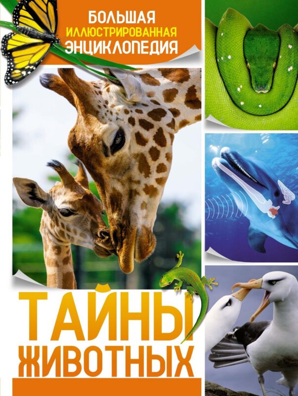 Тайны животных. Большая иллюстрированная энциклопедия