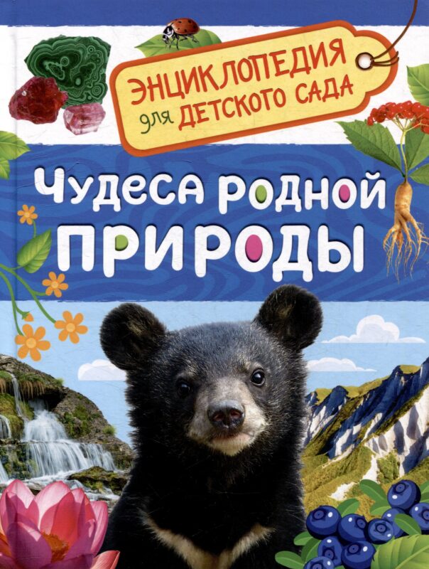 Энциклопедия для детского сада. Чудеса родной природы