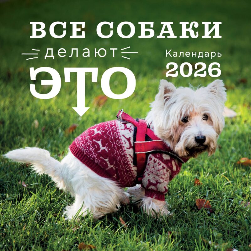 Календарь 2026г 300*300 "Все собаки делают это" настенный, на скрепке