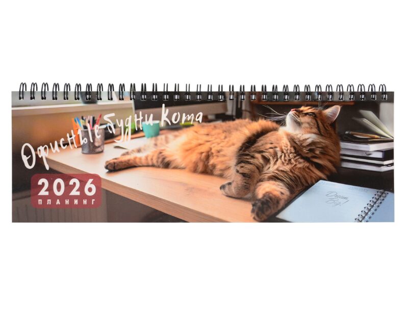 Планинг датированный 2026 год, 64 листа "Офисные будни кота", настольный