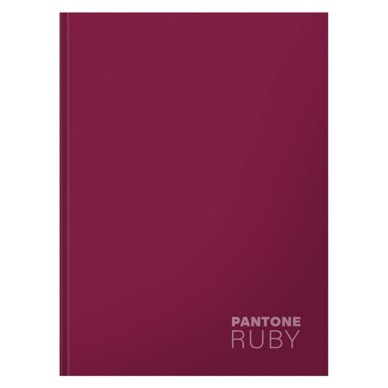 Книга для записей А5+ 96л кл. "Ruby" интеграл.перепл., матов.ламин., выб.лак.