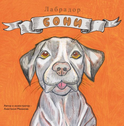 Лабрадор «Бони»