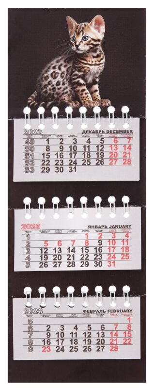 Календарь квартальный 2026г 82*230 "Котенок на черном" на магните