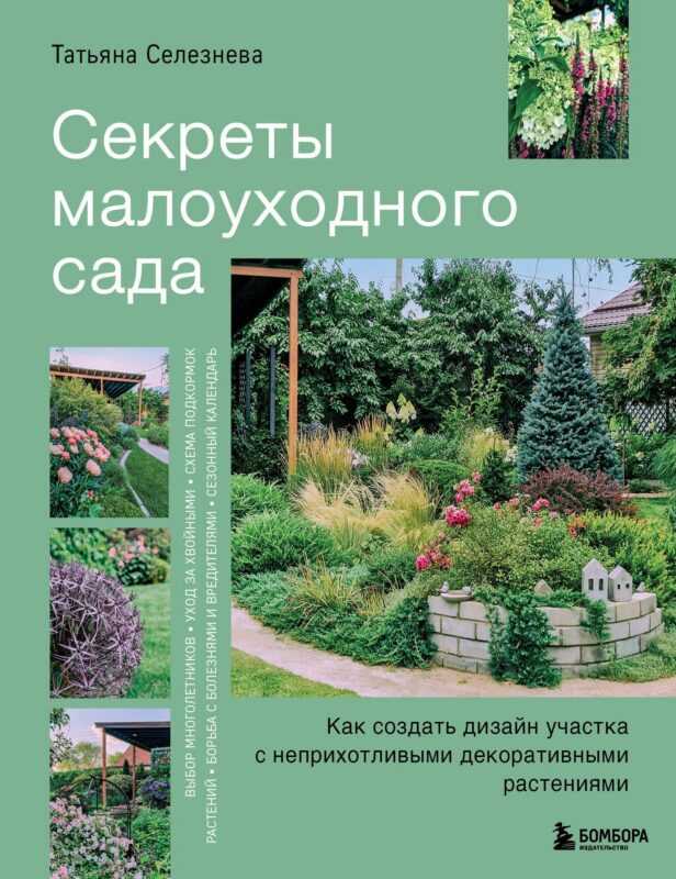Секреты малоуходного сада. Как создать дизайн участка с неприхотливыми декоративными растениями