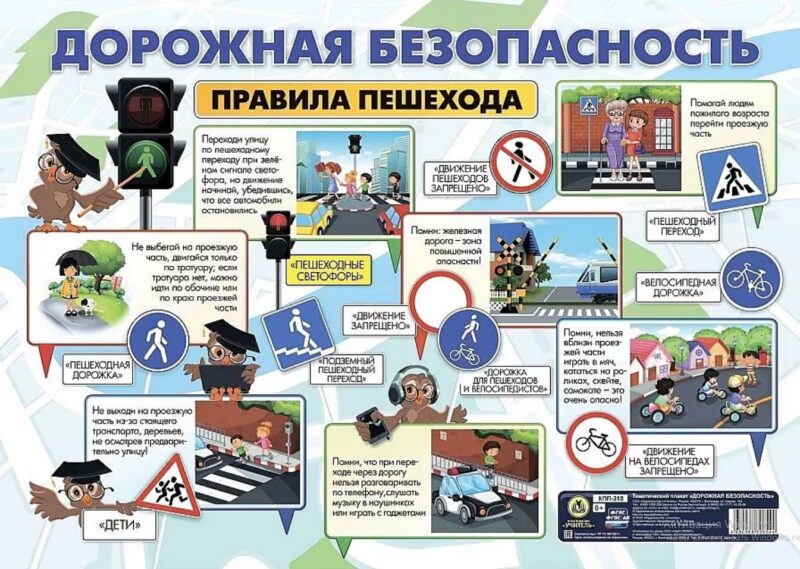 Тематический плакат. Дорожная безопасность. Правила пешехода