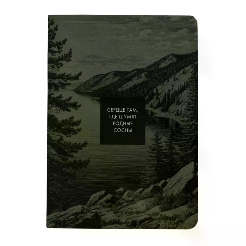 Тетрадь 48л кл. "THIS IS RUSSIA. Алтай" карт.обл., мат.ламинация, тиснение фольгой, скрепка